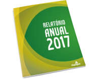 Relatório anual 2017