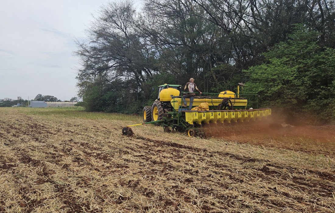 In&iacute;cio da semeadura de soja 25/26 marca novo ciclo na agricultura na regi&atilde;o