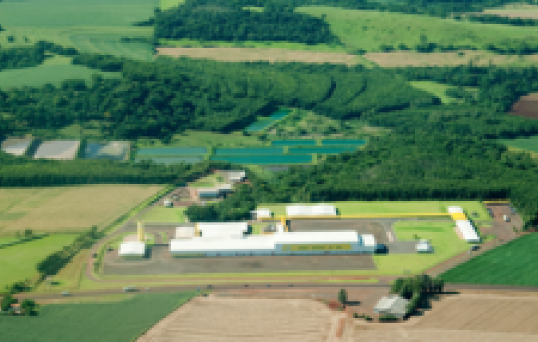 COPAGRIL: Unidade Industrial de Aves &eacute; Certificada em BRC
