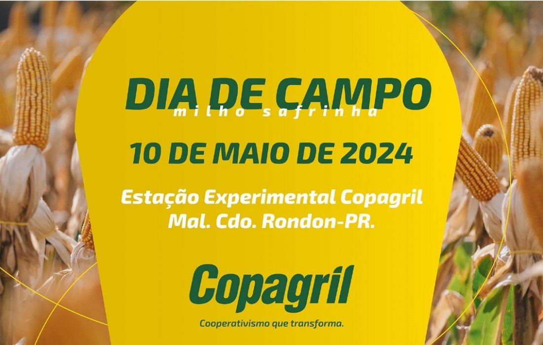 Dia de Campo Milho Safrinha Copagril acontece dia 10 de maio