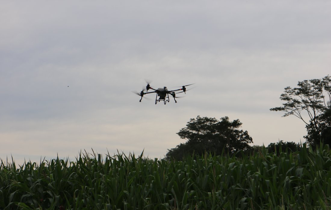Drone de pulveriza&ccedil;&atilde;o proporciona equil&iacute;brio entre rentabilidade e sustentabilidade