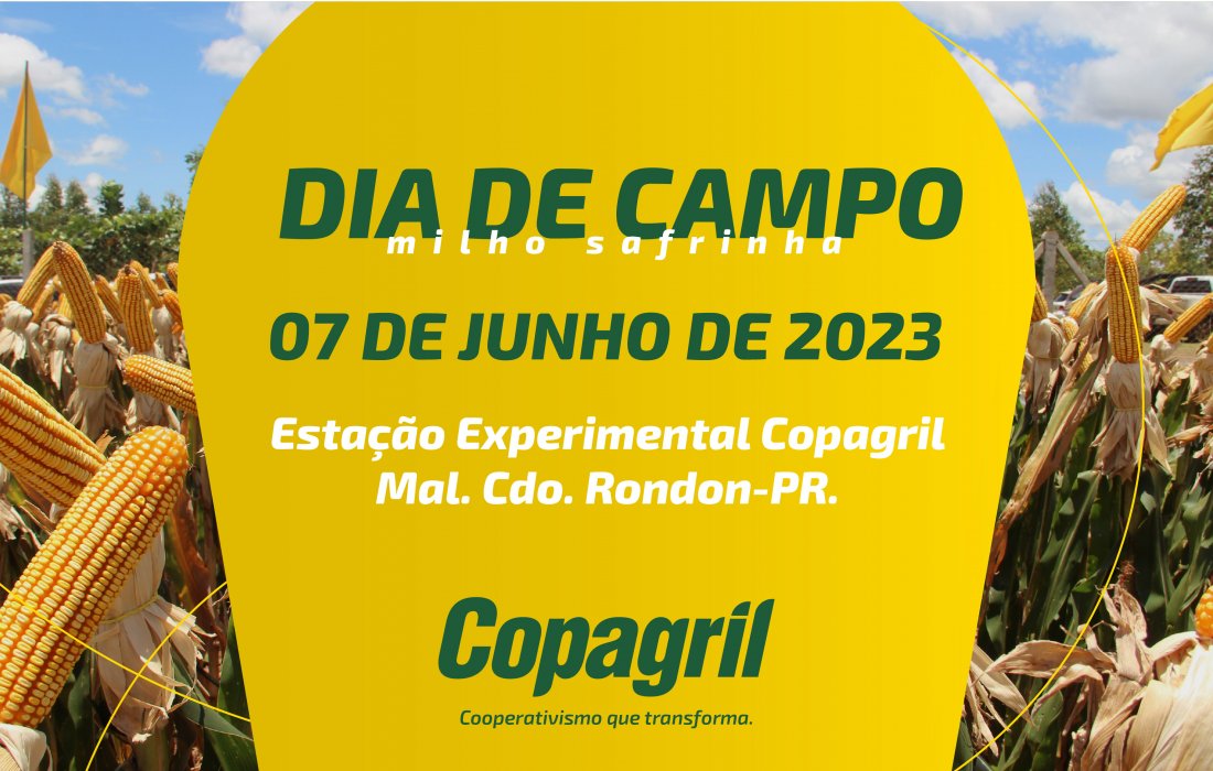 Copagril realiza nesta quarta-feira o Dia de Campo do Milho Safrinha 2023