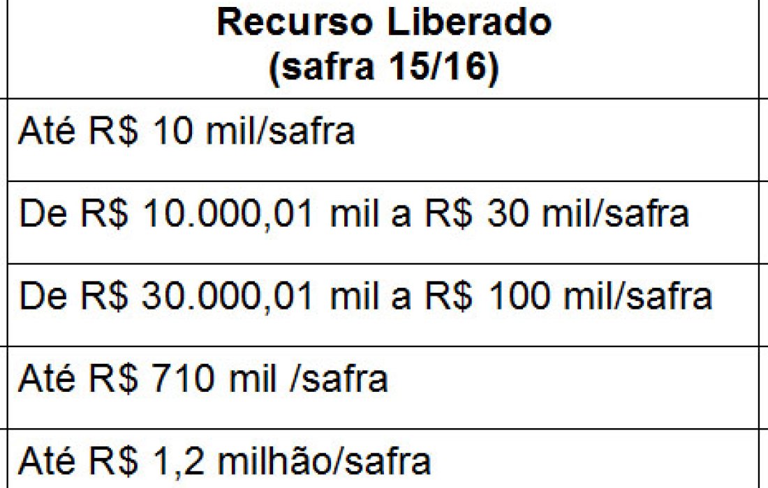 Confira as taxas do financiamento agr&iacute;cola para cultura do milho 2&ordf; safra