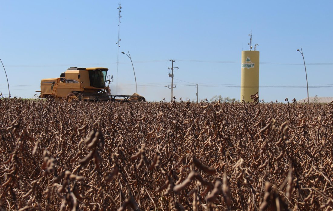 Primeiras lavouras colhidas apresentam bom potencial de produtividade