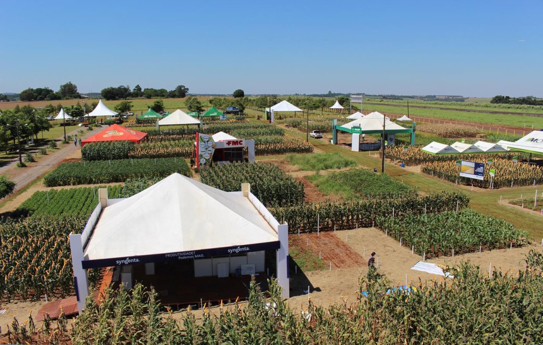Cerca de 10 mil pessoas s&atilde;o esperadas para o Dia de Campo Copagril 2016