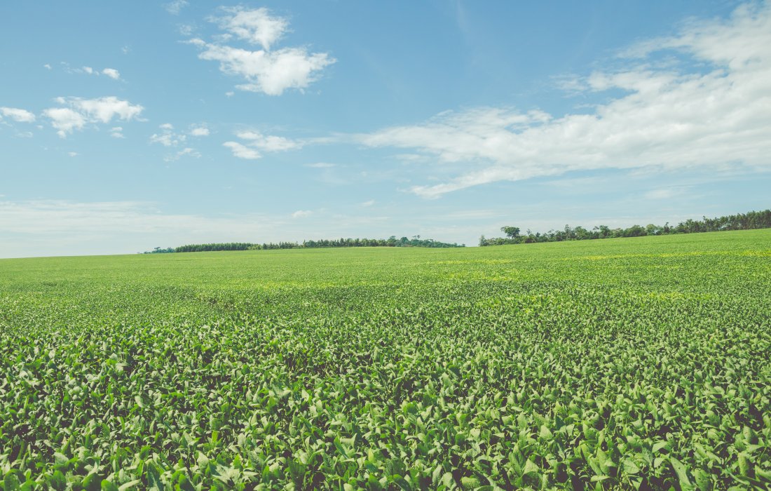 Produtores rurais j&aacute; podem contratar cr&eacute;dito do pr&eacute;-custeio