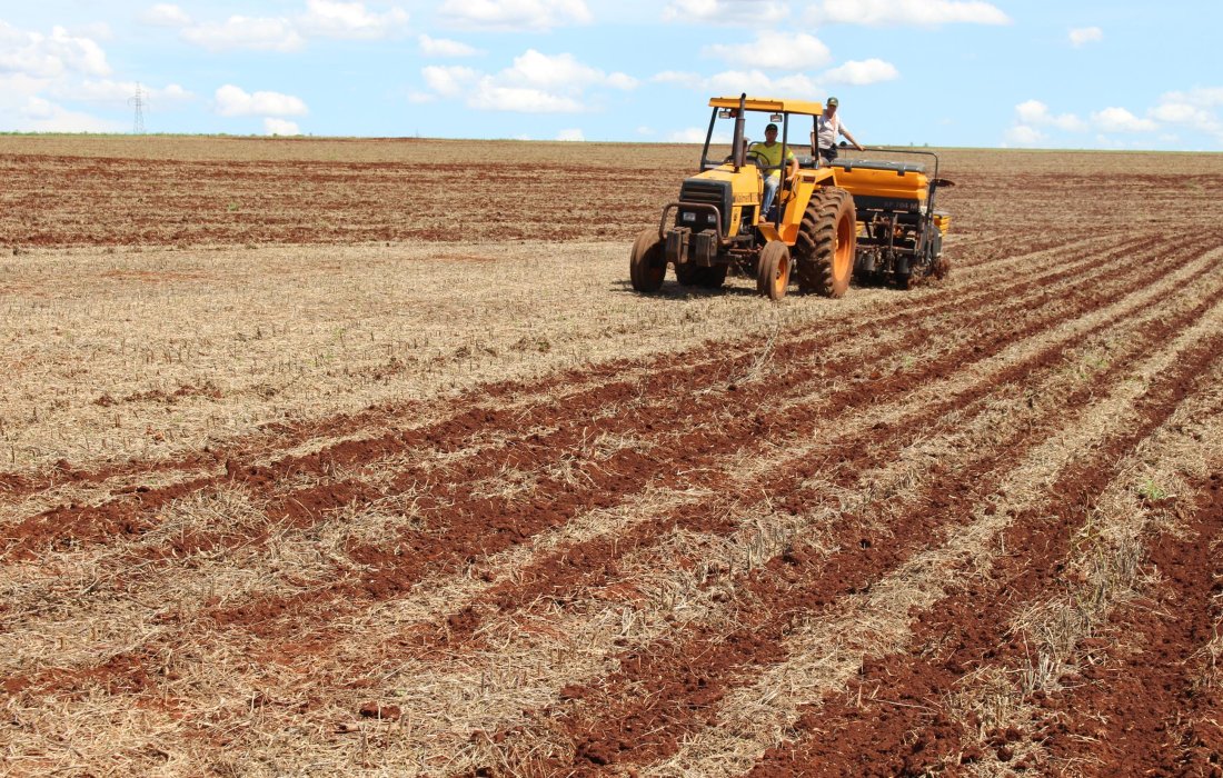 Produtores aproveitam condi&ccedil;&otilde;es do tempo para plantar milho safrinha