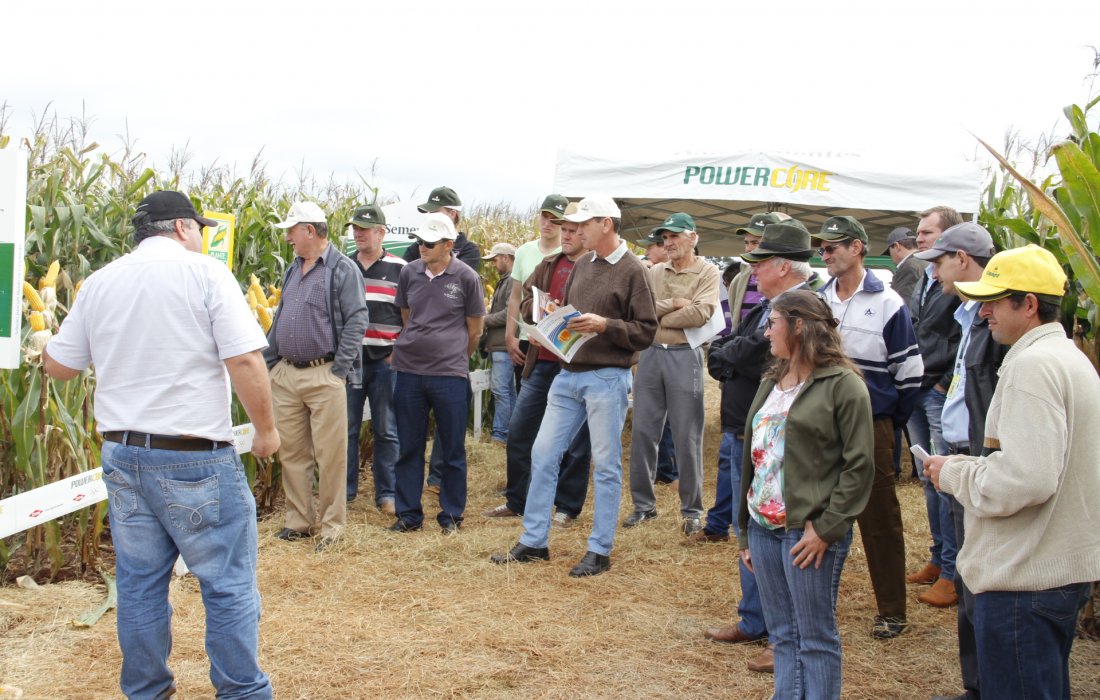 Produtores analisam h&iacute;bridos e conhecem novas tecnologias no Dia de Campo do Milho Safrinha Copagril