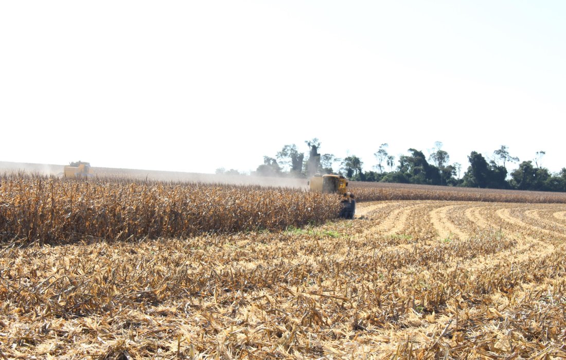 Iniciado per&iacute;odo de Safra Agr&iacute;cola 2016/2017