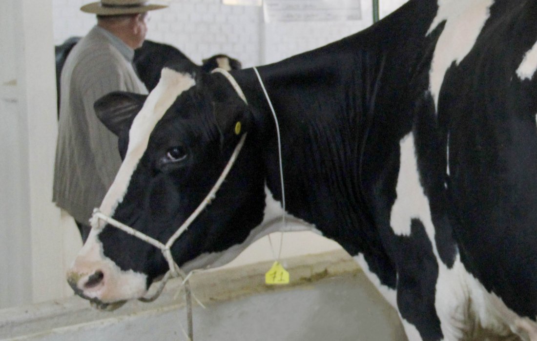 Copagril marca forte presen&ccedil;a na Exposi&ccedil;&atilde;o Pecu&aacute;ria