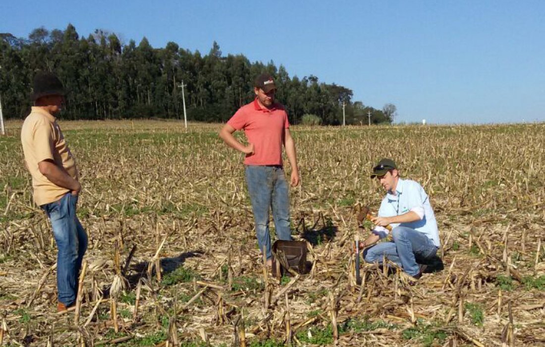 Equipe t&eacute;cnica agron&ocirc;mica da Copagril orienta sobre coleta de amostras para an&aacute;lise de solo