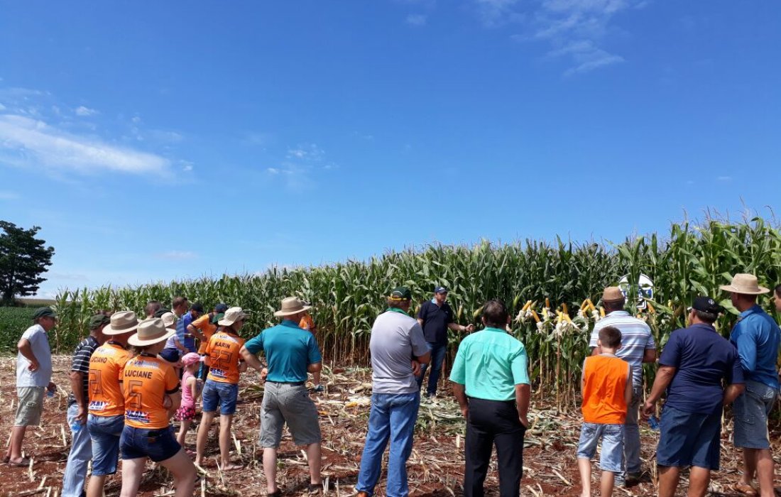 Comit&ecirc;s de jovens da Copagril realizam dias de campo dos Projetos Agr&iacute;colas