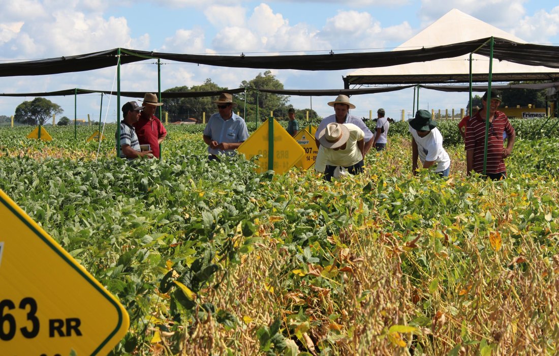 Diferentes espa&ccedil;amentos e &eacute;pocas de semeadura de soja s&atilde;o apresentados durante o Dia de Campo