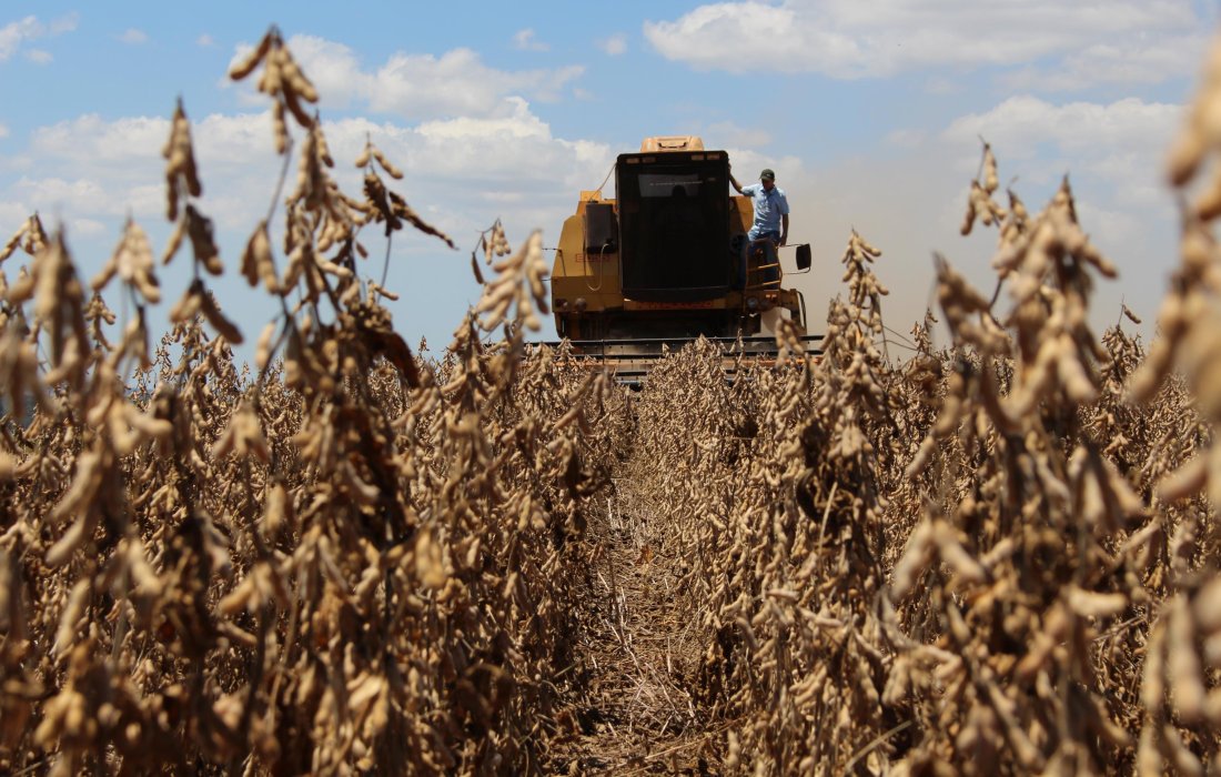 Primeiras lavouras de soja colhidas apresentam bom potencial de produtividade