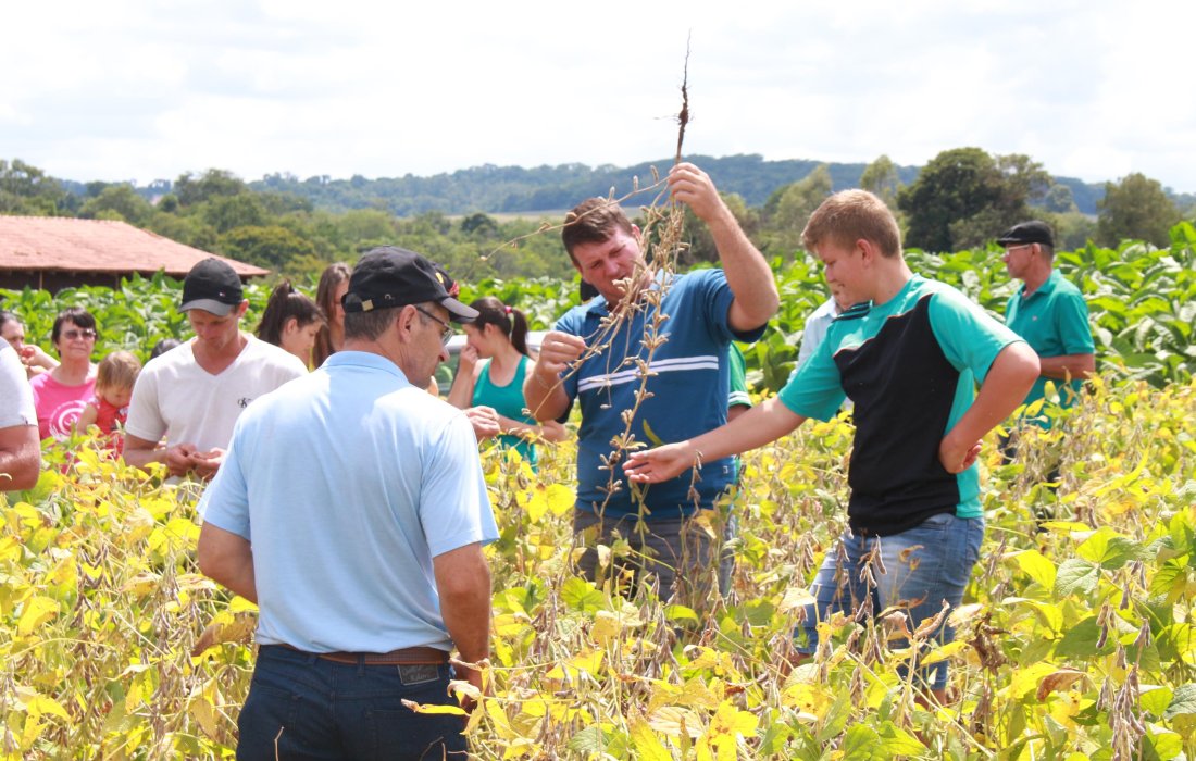 Jovens promovem dias de campo do Concurso de Projetos Agr&iacute;colas