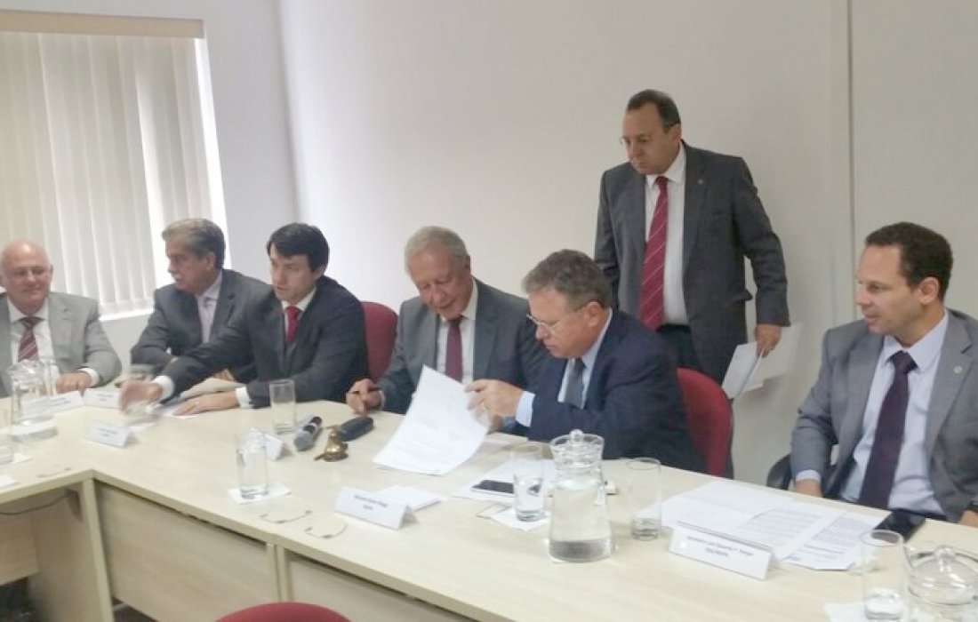 Nova Instru&ccedil;&atilde;o Normativa aumenta rigor na preven&ccedil;&atilde;o da gripe avi&aacute;ria
