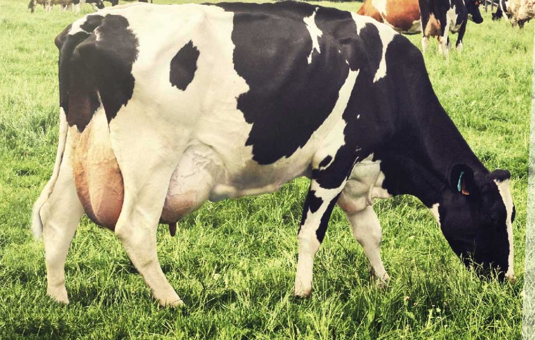 Copagril promover&aacute; Semin&aacute;rio de Produtores de Leite dia 28 de abril