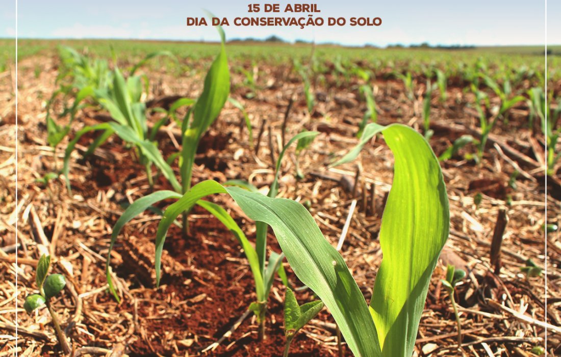 Dia da Conserva&ccedil;&atilde;o do Solo &eacute; celebrado neste s&aacute;bado