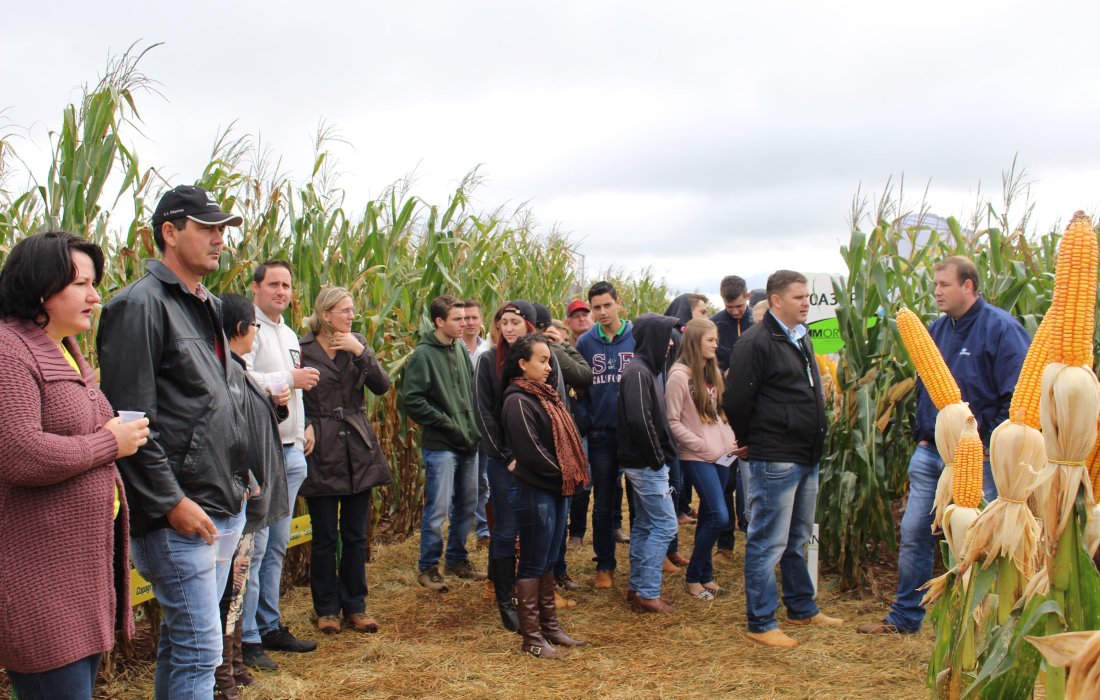 Dia de Campo do Milho Safrinha Copagril atrai produtores e estudantes da regi&atilde;o
