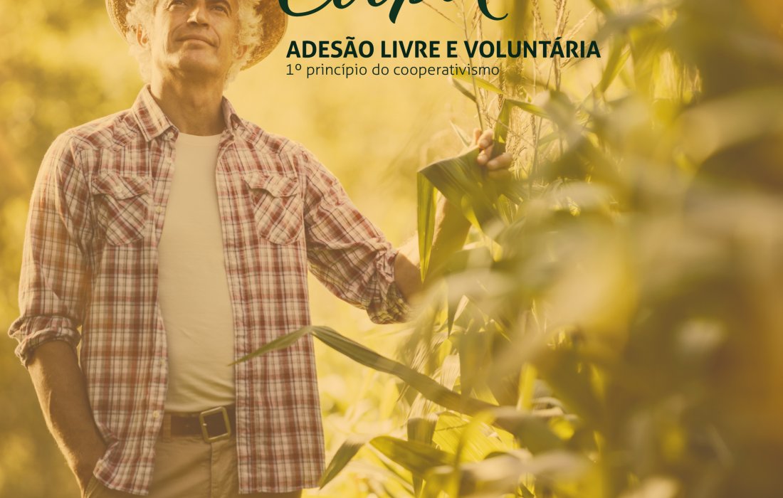 Campanha publicit&aacute;ria da Copagril difunde os 7 princ&iacute;pios do cooperativismo