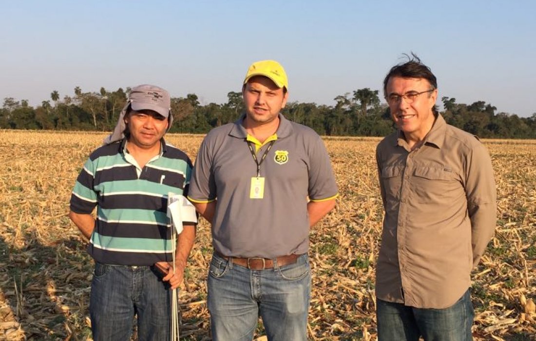 Pesquisador recomenda antecipa&ccedil;&atilde;o do controle de plantas daninhas
