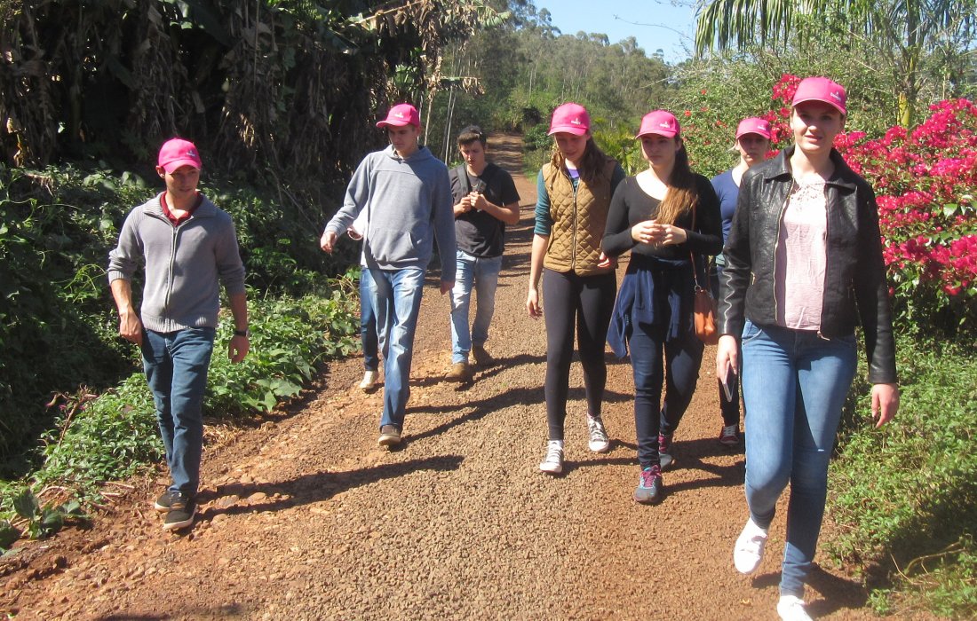 Jovens percorrem trilha ecol&oacute;gica da Copagril na &uacute;ltima etapa do Curso Modular