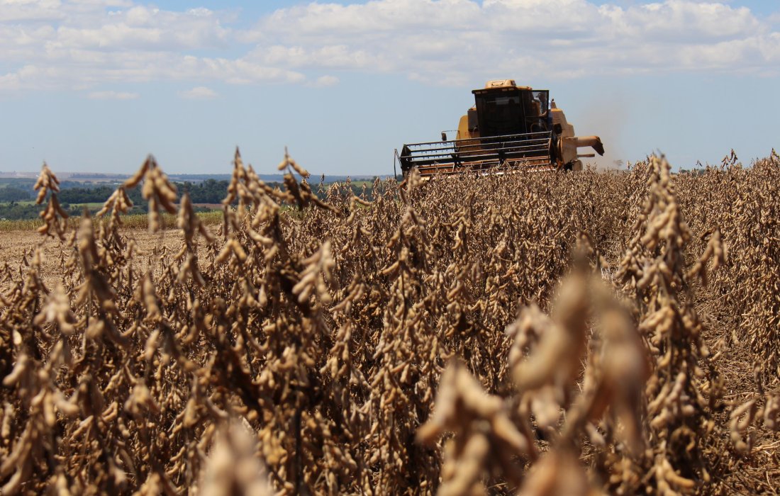 Valor Bruto da Produ&ccedil;&atilde;o Agropecu&aacute;ria est&aacute; estimado em R$ 562,4 bilh&otilde;es