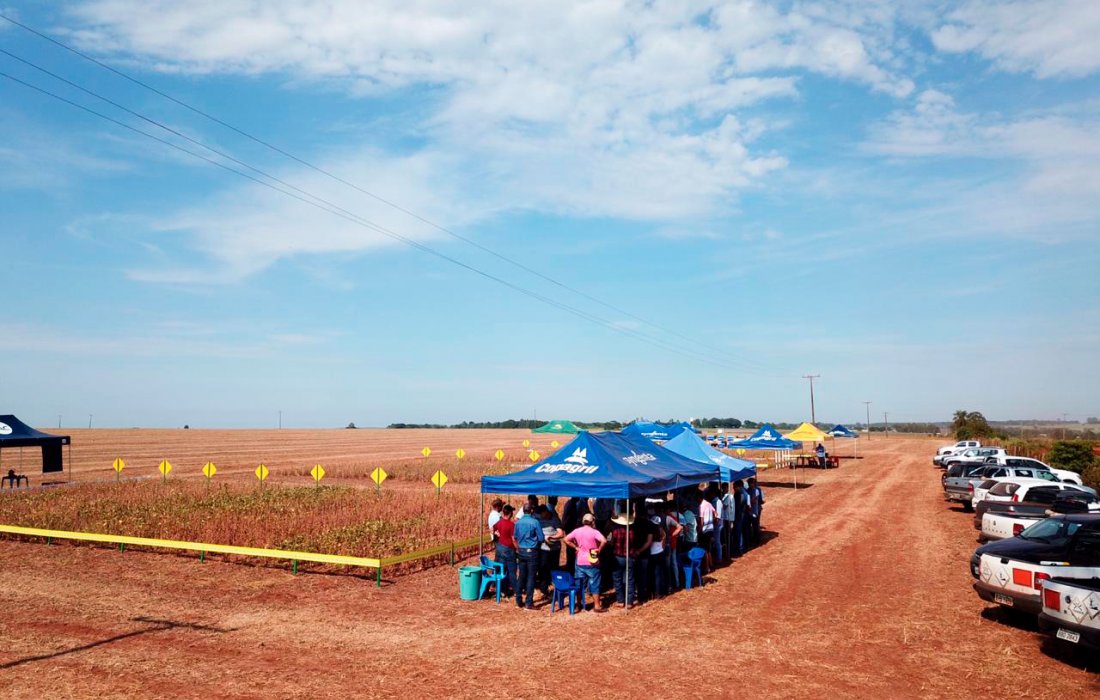 Copagril realiza primeiro Dia de Campo soja ver&atilde;o em Itaquira&iacute;