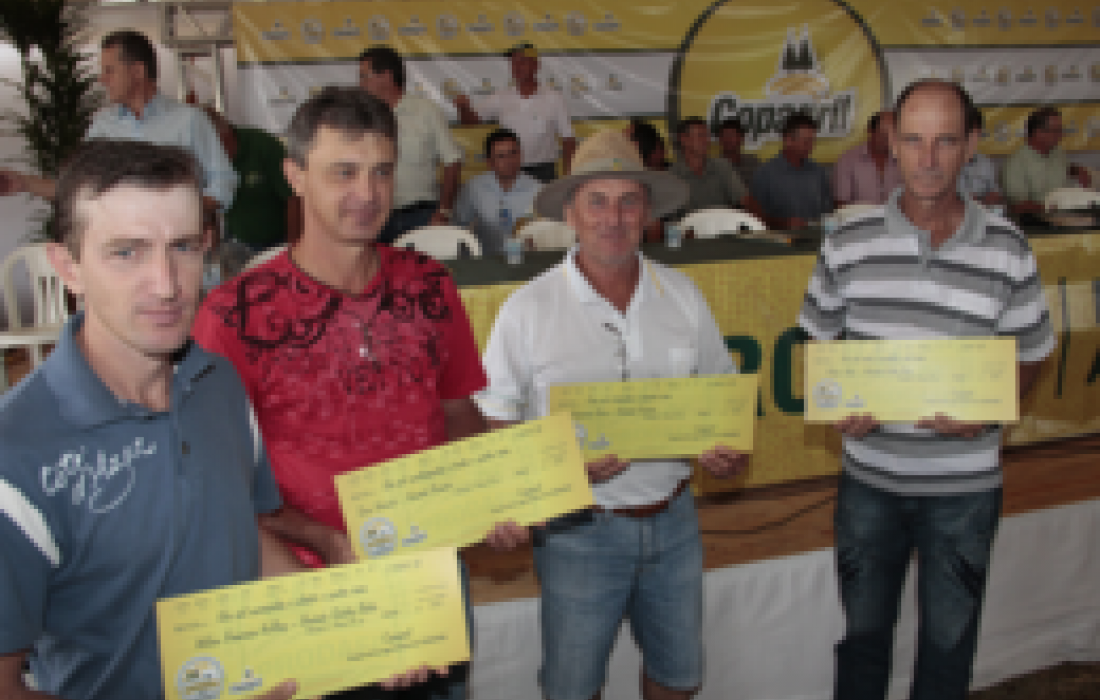 SELO COMBUST&Iacute;VEL SOCIAL