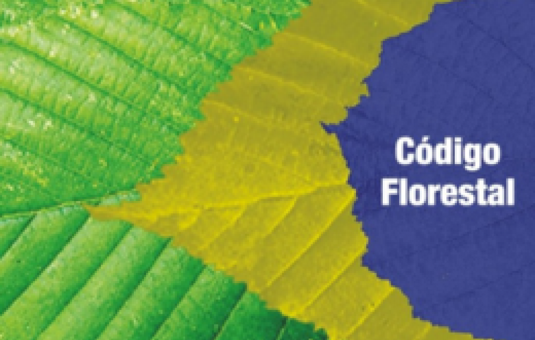 C&Oacute;DIGO FLORESTAL: C&acirc;mara aprova texto-base do deputado Paulo Piau