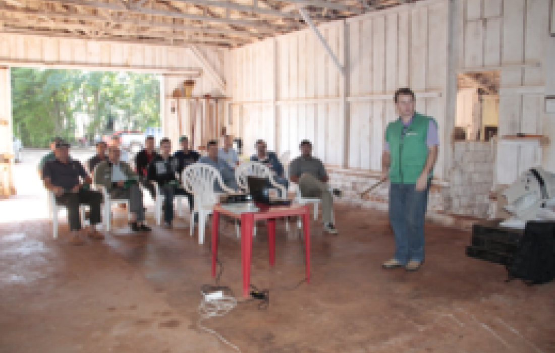 Formigas Cortadeiras, &eacute; preciso combater!