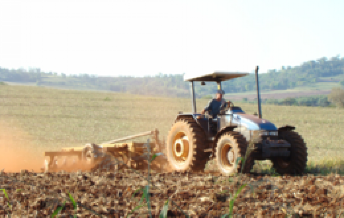 Sustentabilidade definir&aacute; sucesso da produ&ccedil;&atilde;o de gr&atilde;os na d&eacute;cada
