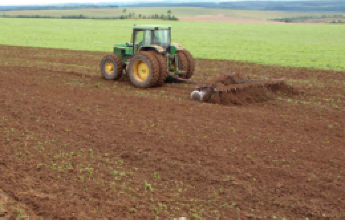 Vazio Sanit&aacute;rio da Soja: fique atento!