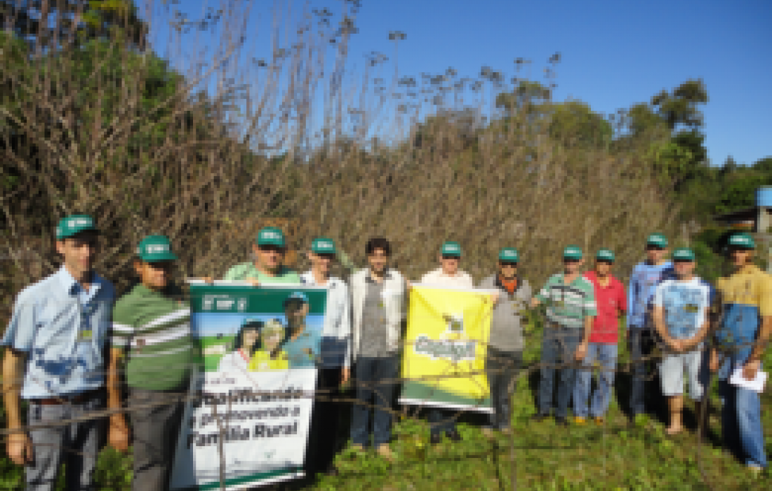 Fruticultura B&aacute;sica em Clima Temperado