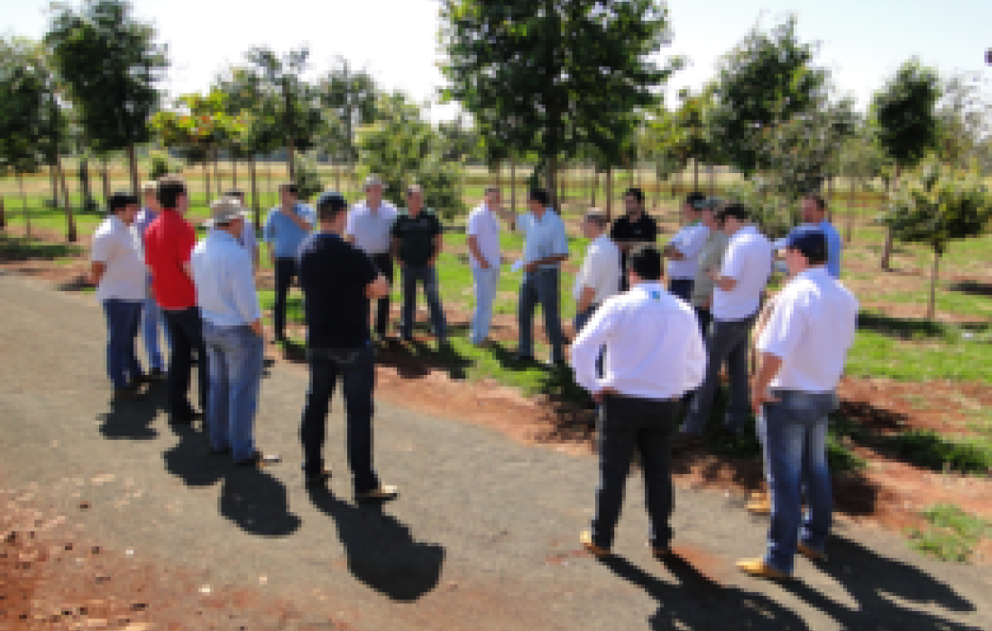 Dia de Campo Copagril 2013: preparativos j&aacute; iniciaram!                              