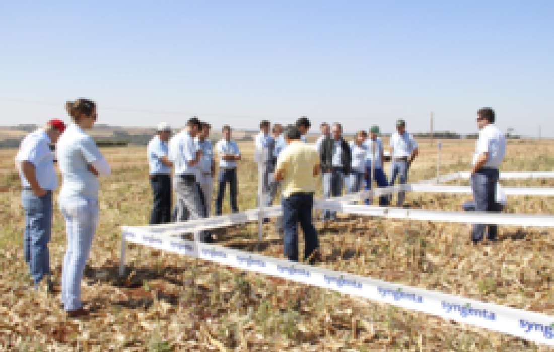 Copagril organiza Curso de Atualiza&ccedil;&atilde;o T&eacute;cnica Agron&ocirc;mica                              