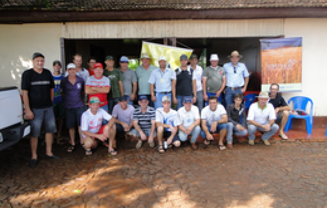 Associados da Copagril participam de Dia de Campo de Aduba&ccedil;&atilde;o de Pastagem e Soja                    