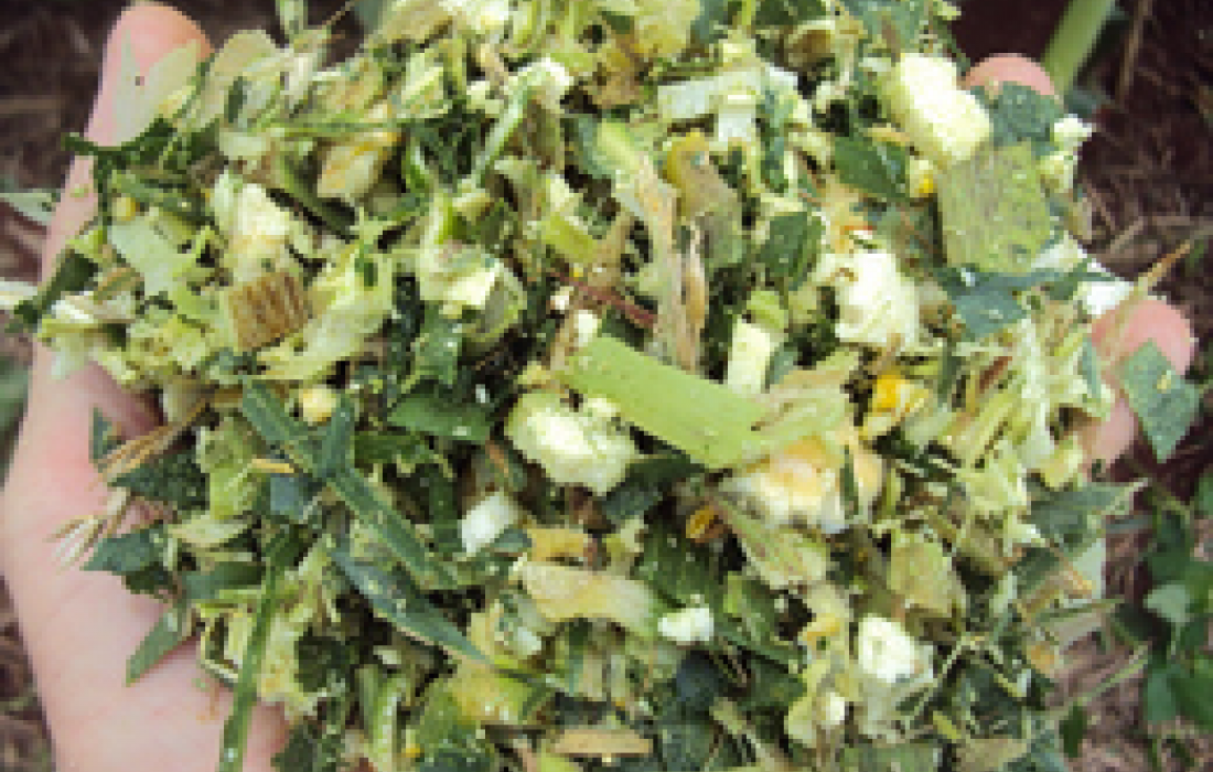 Copagril promove IV Concurso da Silagem de Melhor Qualidade                              