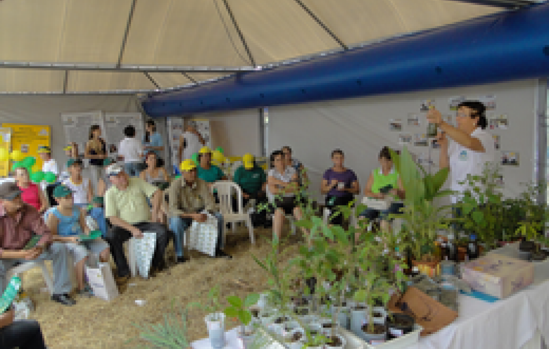 &Aacute;rea Social da Copagril mostrar&aacute; suas atividades no Dia de Campo 2013                              