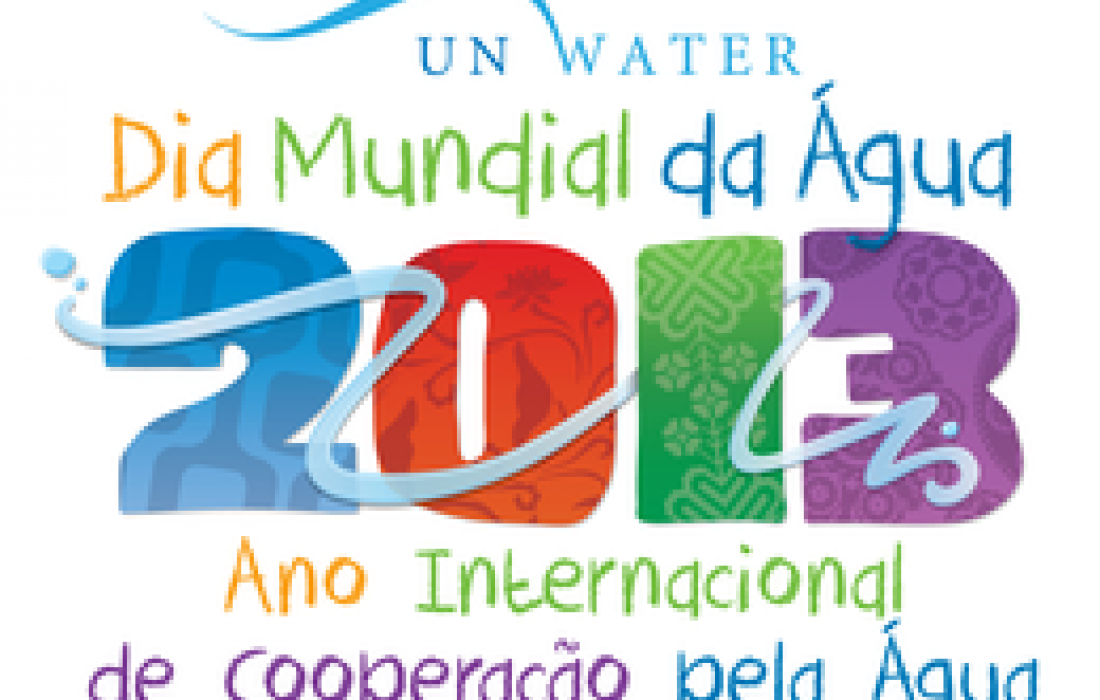 ONU: 2013, Ano Internacional da Coopera&ccedil;&atilde;o pela &Aacute;gua                              