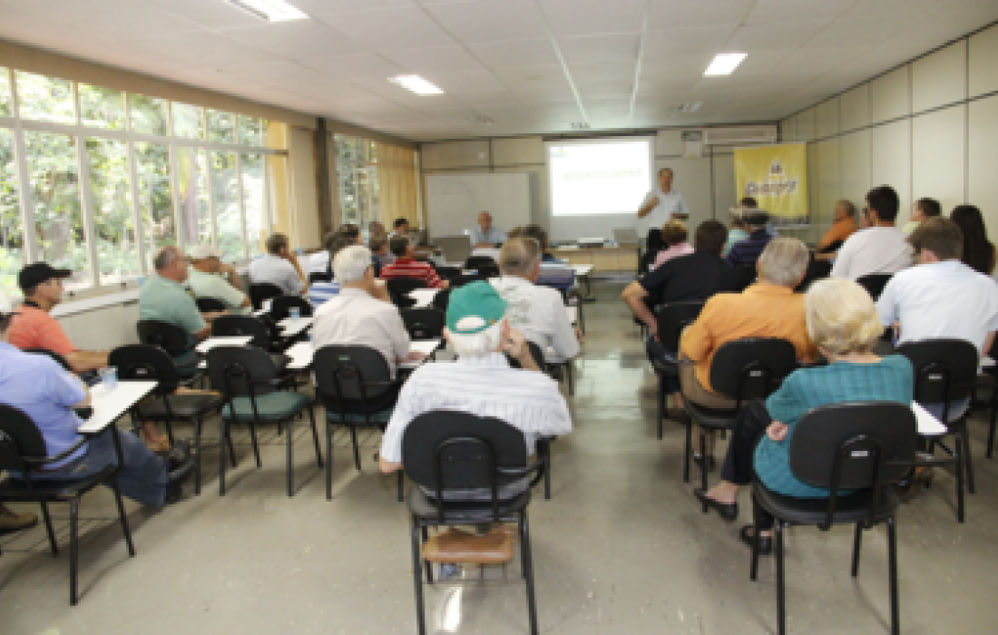 Reuni&otilde;es de N&uacute;cleos Cooperativos iniciam na pr&oacute;xima semana                            