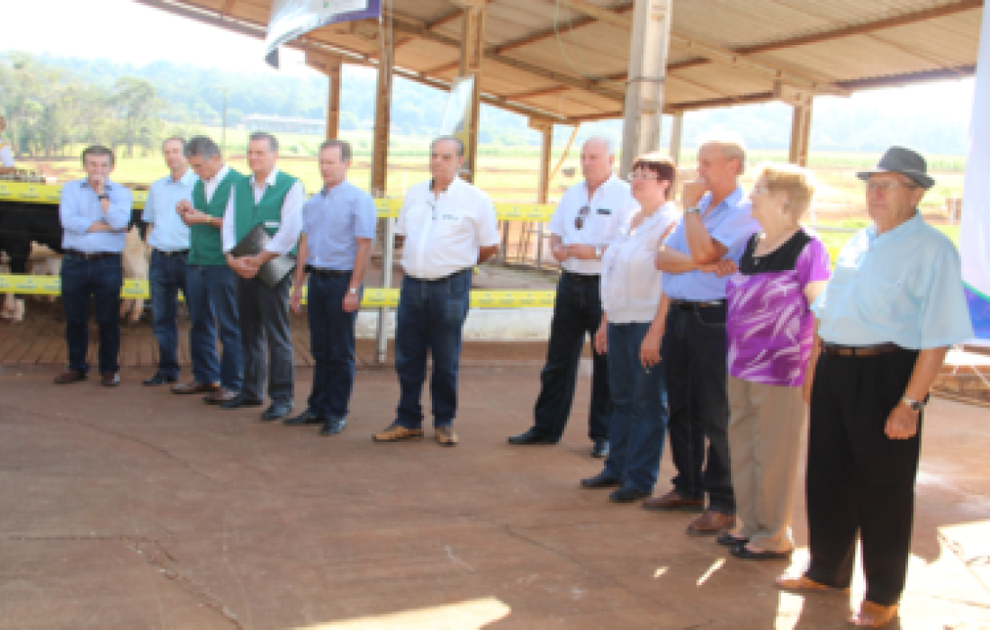 Lan&ccedil;amento da campanha estadual de vacina&ccedil;&atilde;o contra a febre aftosa                            