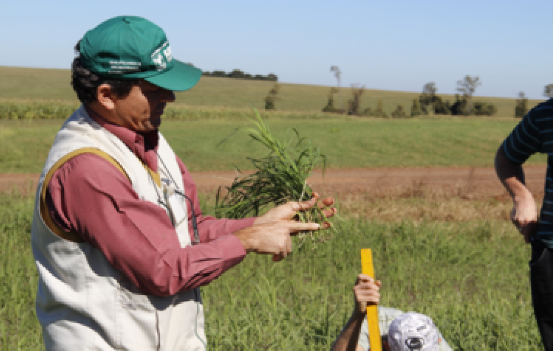 Produtores participam de treinamento sobre manejo de pastagens