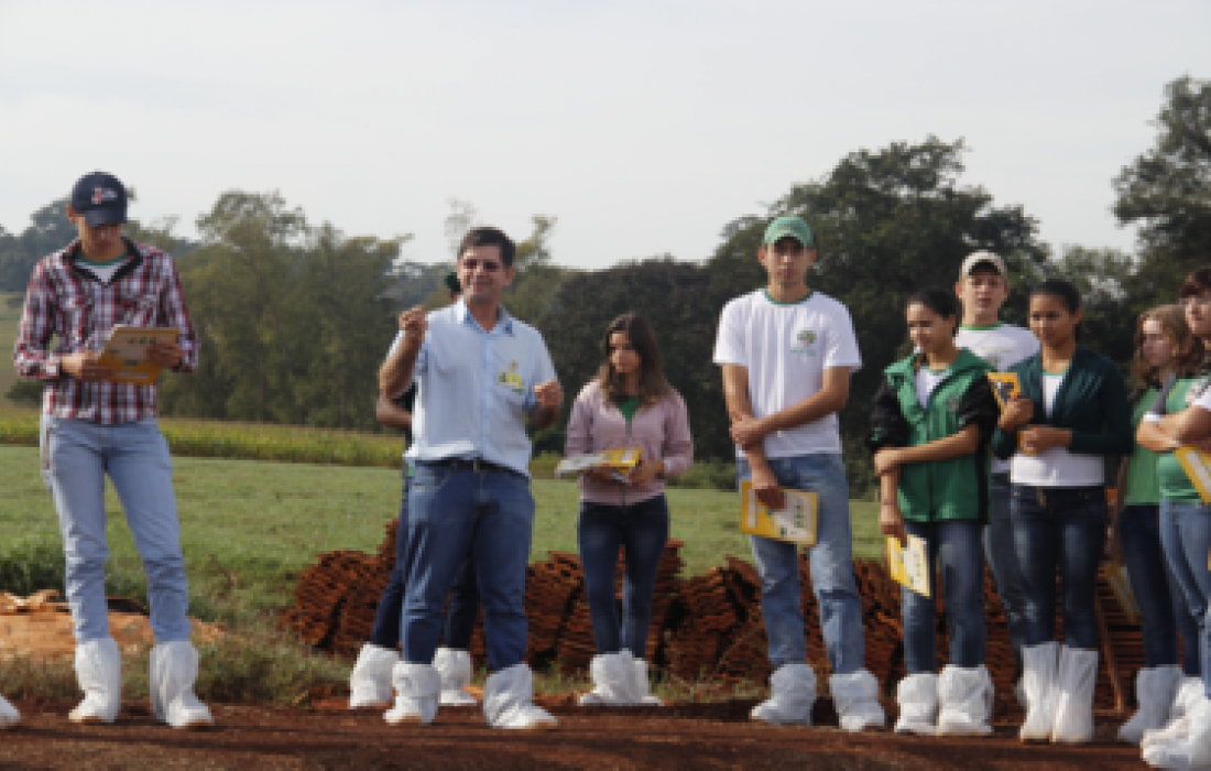 Estudantes de Toledo visitam criat&oacute;rio de bezerras da Copagril                              