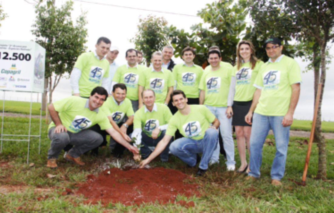 Diretoria da Copagril e Acimacar plantam &aacute;rvore de n&uacute;mero 12.500                               