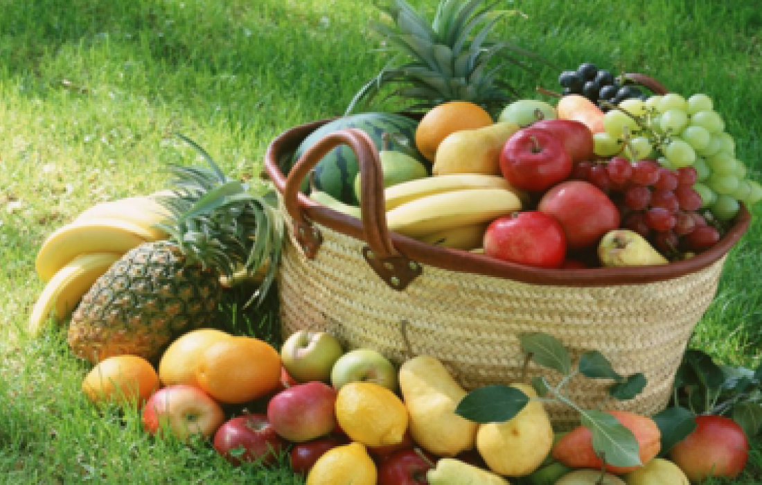 Adapar alerta produtores sobre aquisi&ccedil;&atilde;o de mudas de frut&iacute;feras                              