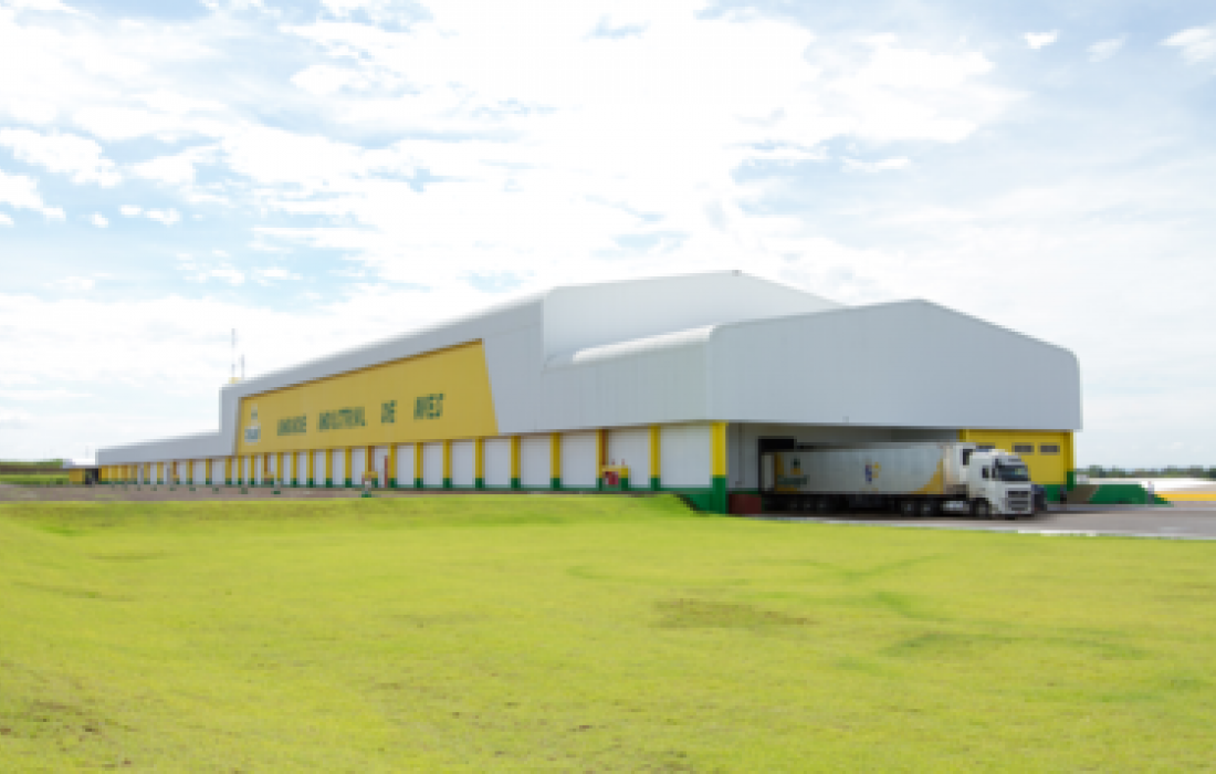 Mercado de trabalho oferta muitas oportunidades                              