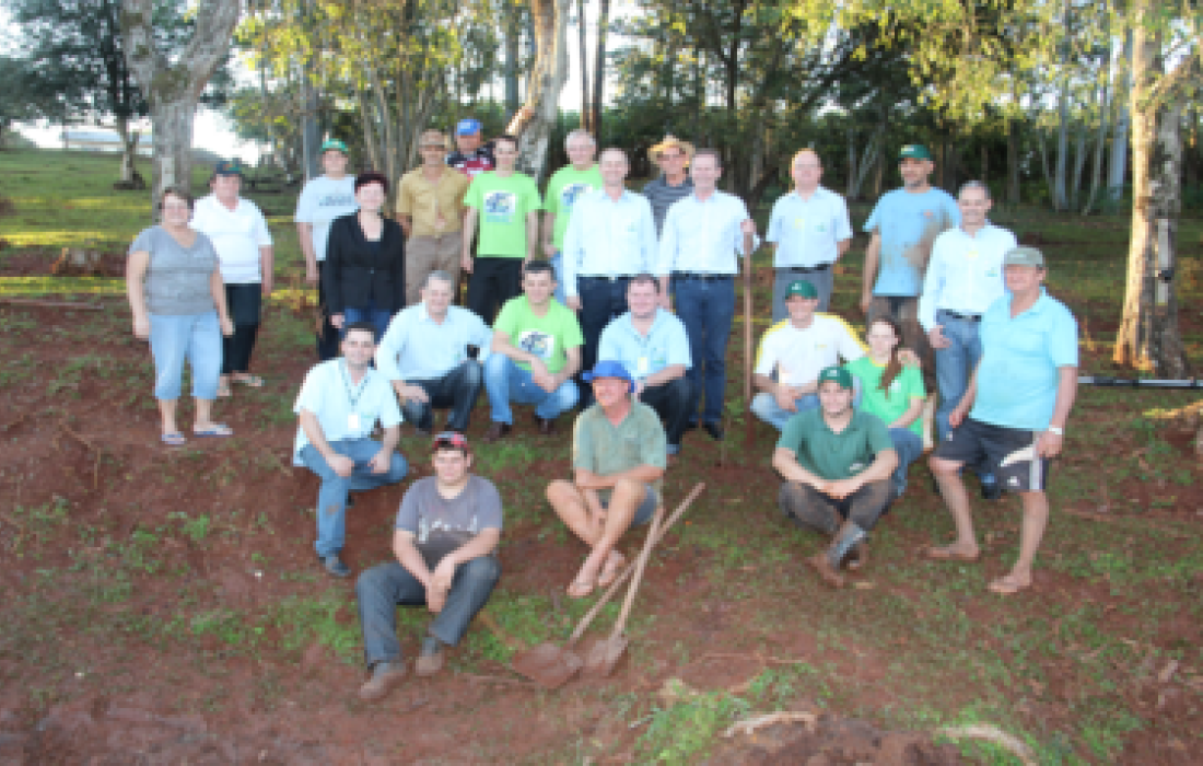 &Aacute;rvores de n&uacute;mero 22.500 e 25.000 s&atilde;o plantadas                               