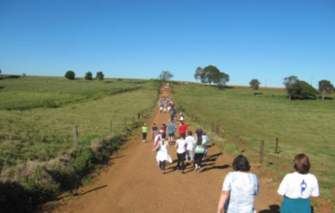 Semana do Meio Ambiente &eacute; encerrada com caminhada na natureza                              