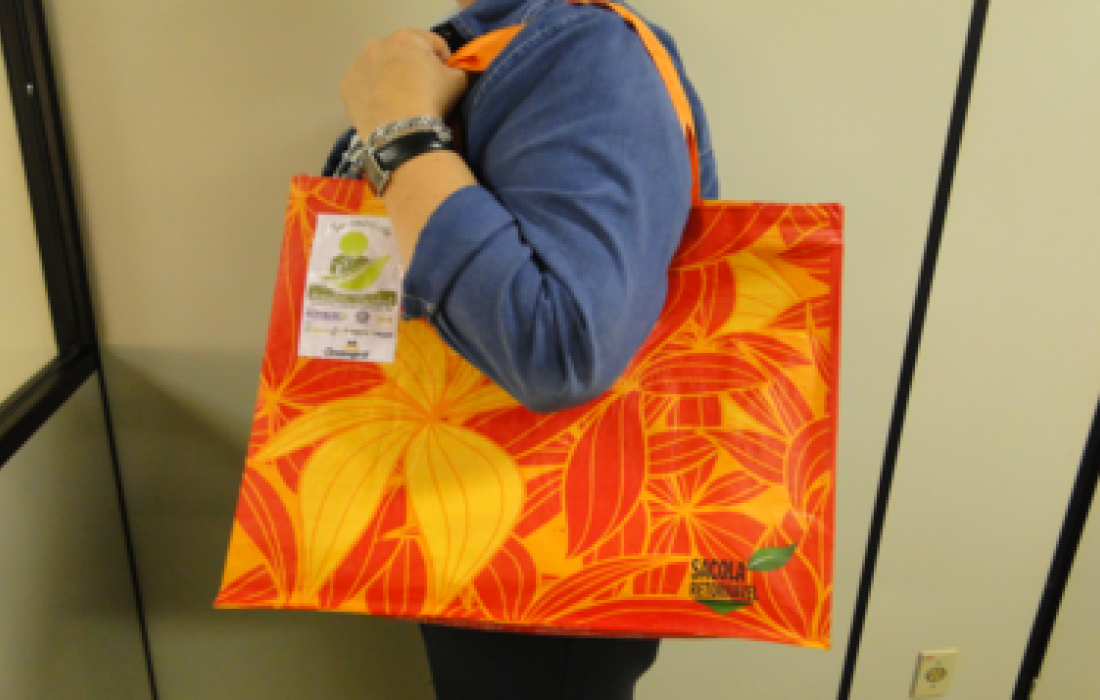 Campanha visa distribuir 10 mil sacolas retorn&aacute;veis                              